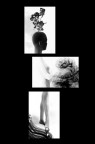 Trittico (Octavia Project) Trittico (Octavia Project)