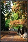 autunno a Milano autunno a Milano