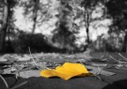 Autunno Autunno