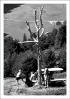 fermati, caro, che metto la crema... fermati, caro, che metto la crema...