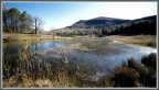 lago lago