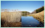 lago lago