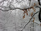 Colori nella neve Colori nella neve