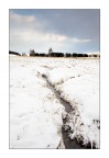 Ferita Invernale Ferita Invernale