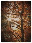 Autunno Autunno