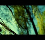 cross process from C41 to E6