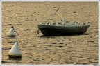 Tutti a bordo Tutti a bordo