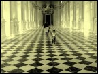 VENARIA VENARIA