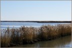 Delta del Po Delta del Po