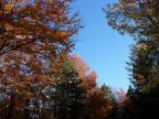 Colori d'autunno Colori d'autunno