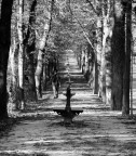 Autunno Autunno