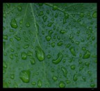 dopo la pioggia(prova)