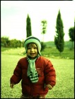 cross process cross process
