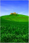 Verdi colline toscane Verdi colline toscane