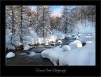 Neve Neve