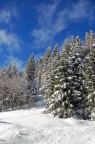 Madonna di Campiglio (TN) Madonna di Campiglio (TN)