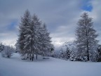 L'inverno in trentino