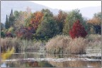 autunno autunno