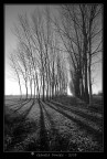Luce e Ombra Luce e Ombra