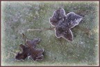 L'inverno L'inverno