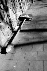 Irrispettosità Irrispettosità