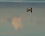Panorama minimalista Panorama minimalista
