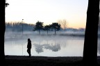 La nebbia che si assapora. La nebbia che si assapora.