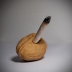 Soluzione: 2, 4, 4, 10, 4, 6


Non � difficile.