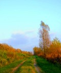terra modenese... terra modenese...