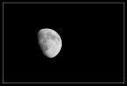 Luna Luna