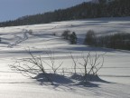 Paesaggio invernale Paesaggio invernale