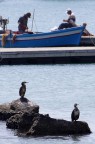 nati x la pesca nati x la pesca