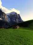 persi nel verde persi nel verde