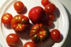 pomodori... pomodori...