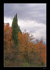 I colori dell'Autunno..1