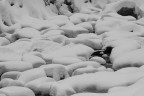 Fiume di neve Fiume di neve