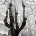 EUR 12 (serie in corso)