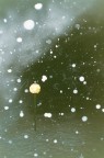 cade la neve... cade la neve...
