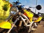 yellow love... yellow love...