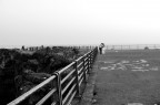 Passeggiando... Passeggiando...