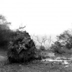 visione impura visione impura