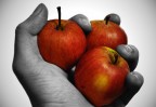 ...Il frutto del peccato... ...Il frutto del peccato...