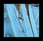 Ice Ice
