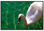 Principesco Principesco
