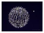 lune lune