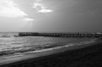 sollitudine sollitudine