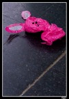 Pink rabbit Pink rabbit