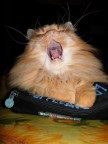 Che fame!!! Che fame!!!