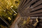 Autunno a MAdrid Autunno a MAdrid
