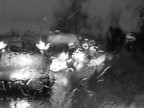 PIOVE PIOVE